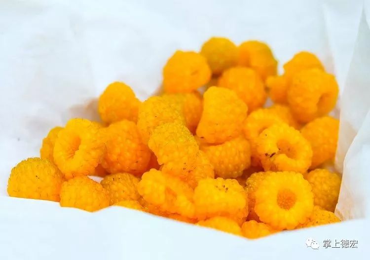 黄泡果熟了,云南特色黄泡