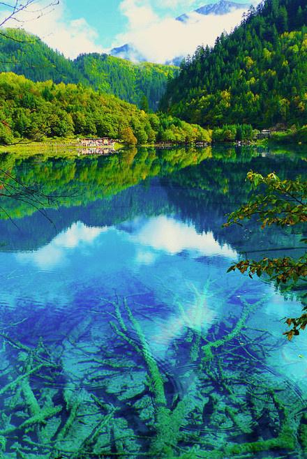 自然力的本质,关于自然力