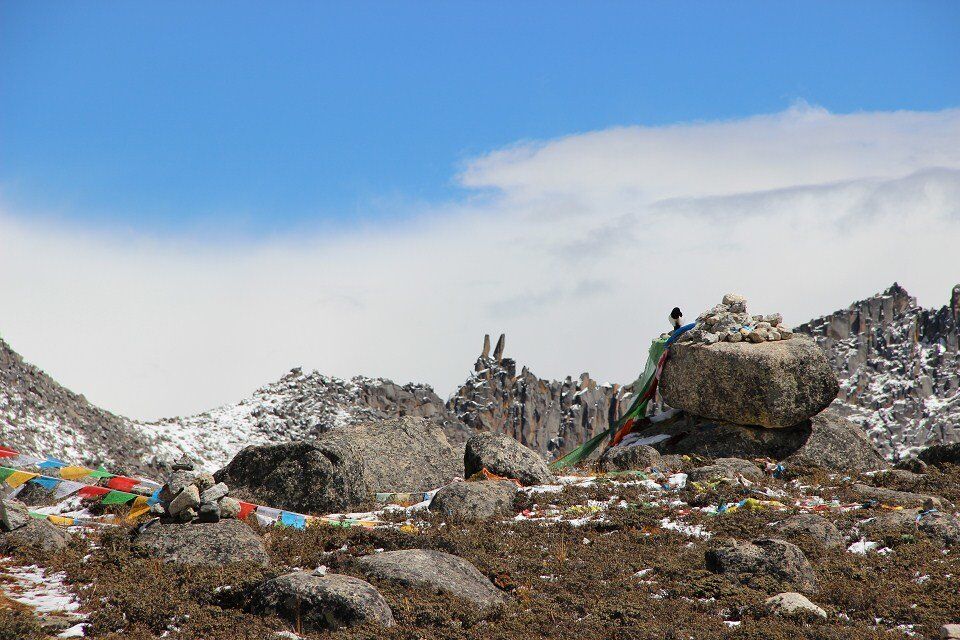从稻城亚丁回重庆开车推荐路线,重庆到稻城亚丁开什么车最好