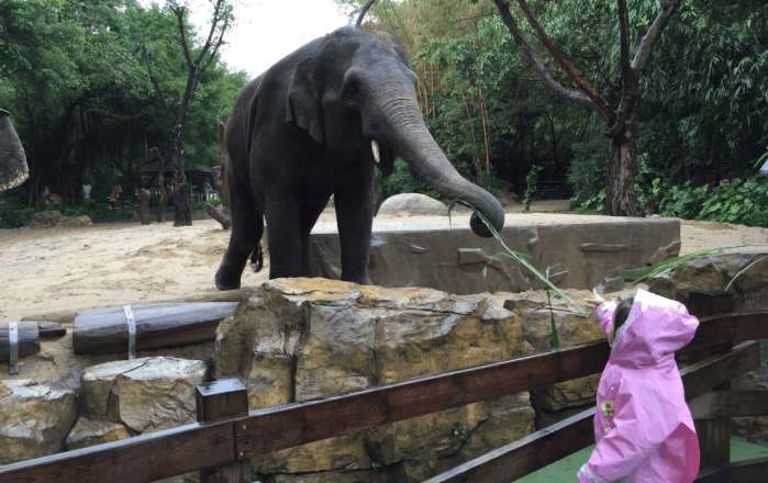 广州长隆野生动物园和广州动物园,广州长隆野生动物园和北京动物园