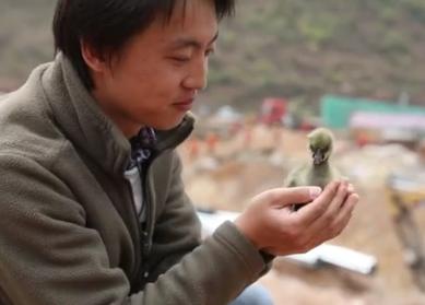 鑵捐楣呭巶浜嬩欢鎬庝箞鍥炰簨,鑵捐鍏婚箙