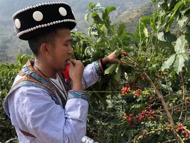 种植户名字印上咖啡售卖机,消费者每买1杯,农民就挣2元!