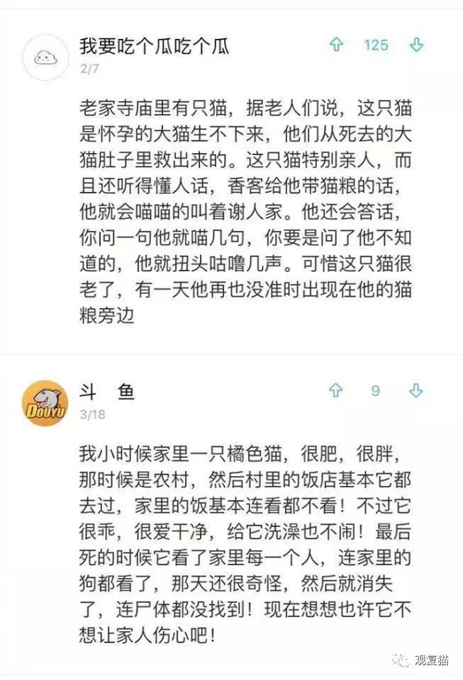 喵星人战斗力有多强,喵星人智商101