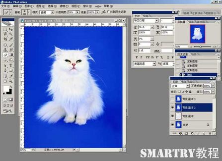 抠图抠不干净ps用哪个工具,ps抠图和ai抠图区别
