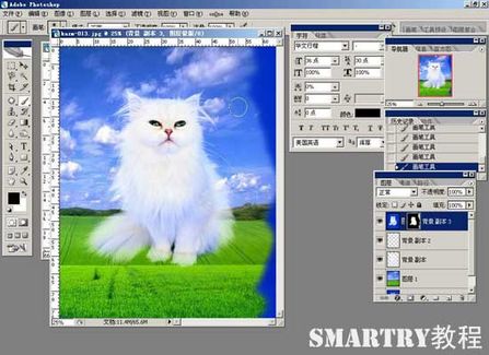 抠图抠不干净ps用哪个工具,ps抠图和ai抠图区别