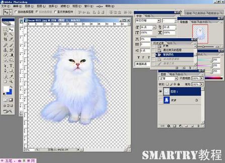 抠图抠不干净ps用哪个工具,ps抠图和ai抠图区别