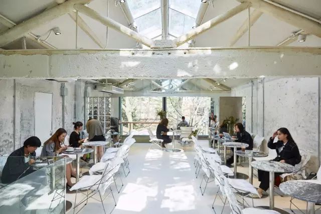 我们斗胆给上海10大网红马路排了个名！第一名竟是……