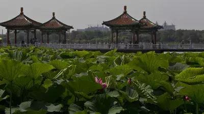瀵逛笉璧锋垜鍔濅綘鍒潵骞垮窞,瀵逛笉璧锋垜鍔濅綘鍒潵娣卞湷