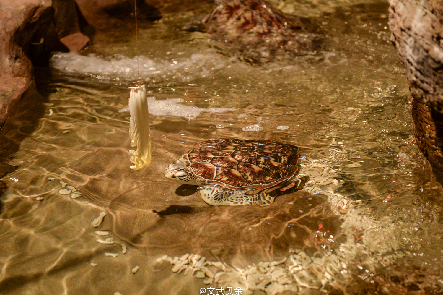 六安九十里山水画廊攻略,六安九十里山水画廊是啥