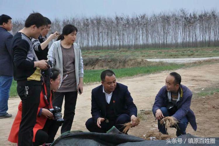 希望的田野唱谱,希望的田野歌曲唢呐