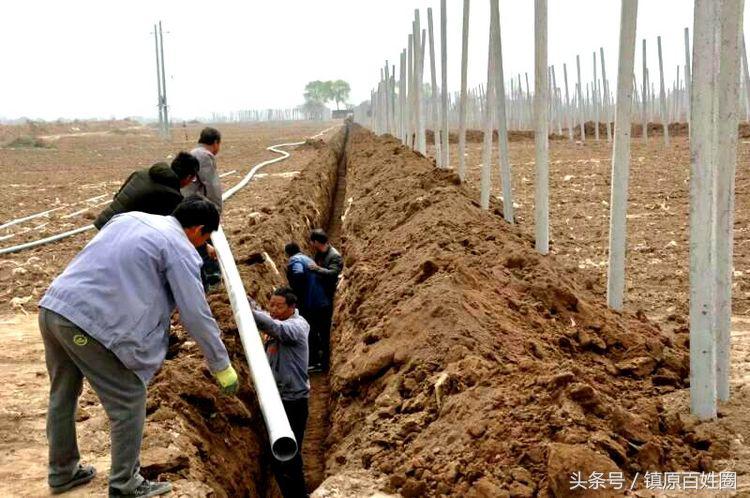 希望的田野唱谱,希望的田野歌曲唢呐