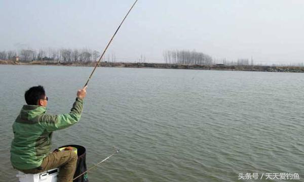 肥水黑坑鱼难钓,黑坑老司机帮你分析原因找到得解决之道