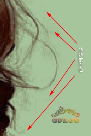 ps教程抠图半透明,photoshop抠图教程树枝抠图方法