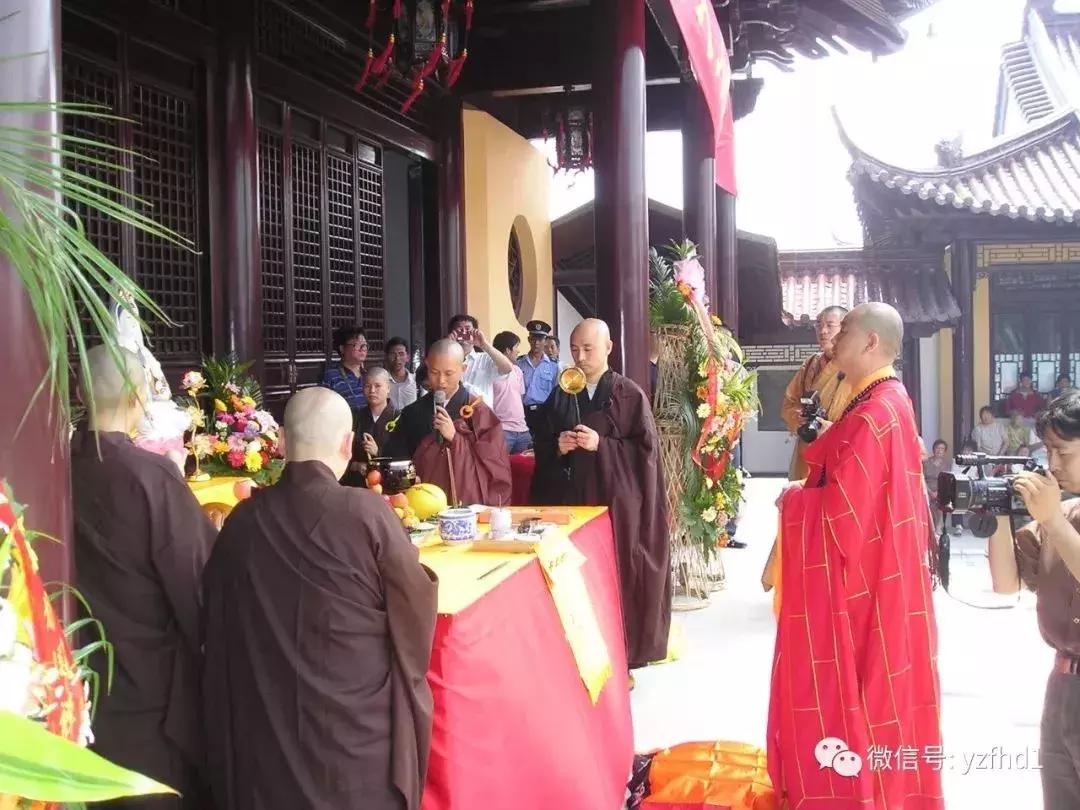 扬州中国风湿地公园,六月的扬州湿地公园