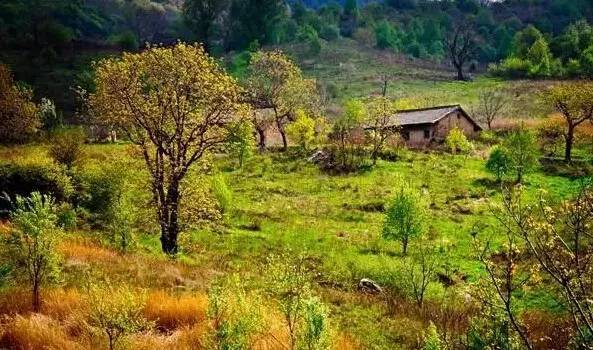 西安清明自驾,西安清明自驾免费景点