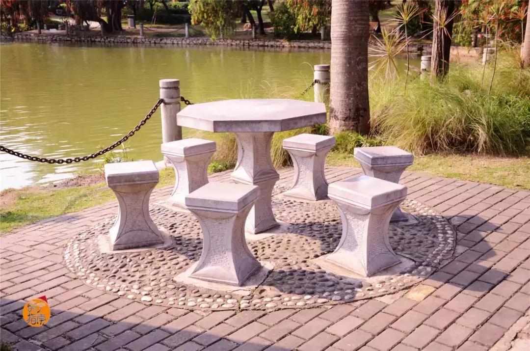 金花茶公园景点,走进金花茶公园