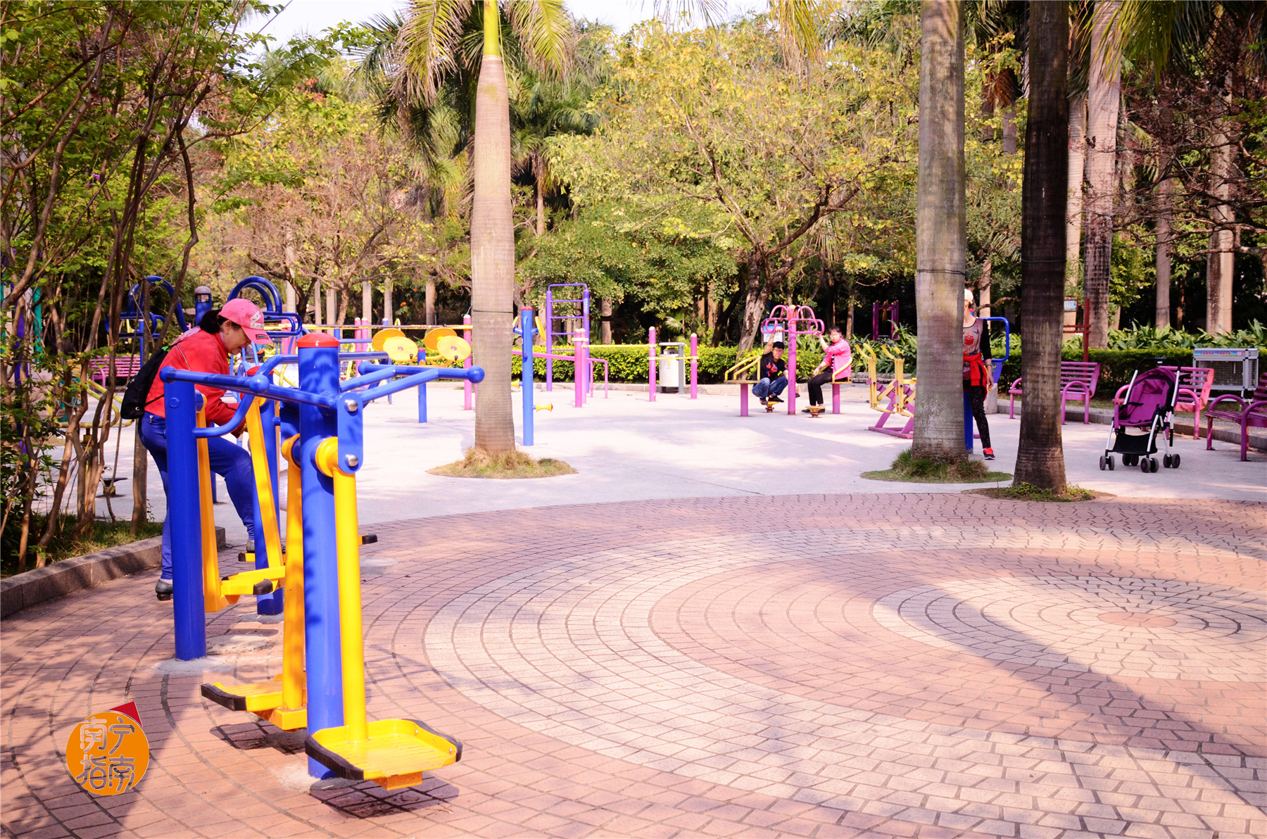 金花茶公园景点,走进金花茶公园