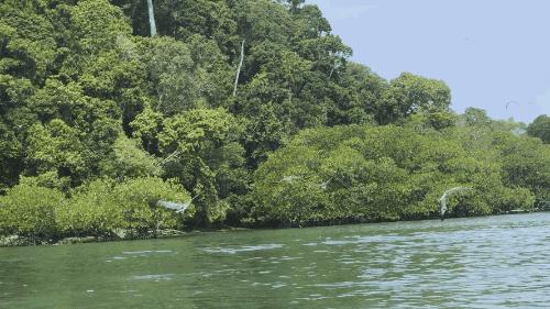 兰卡威六天游攻略,兰卡威六日游玩