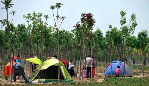 天津可以搭帐篷露营的地方,天津周边露营过夜地推荐