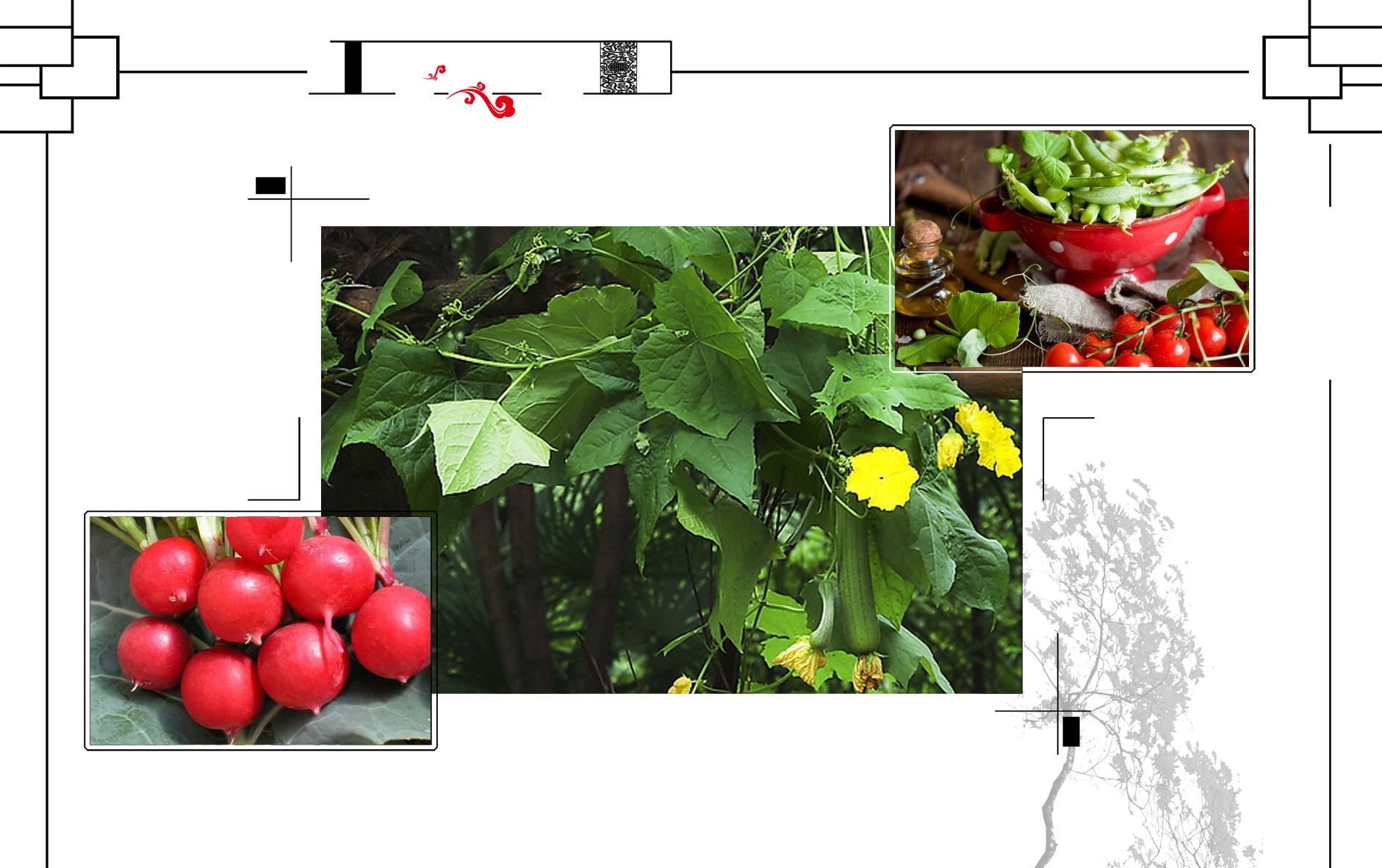 白石山舍精品民宿度假酒店,白石山舍精品民宿度假酒店团购