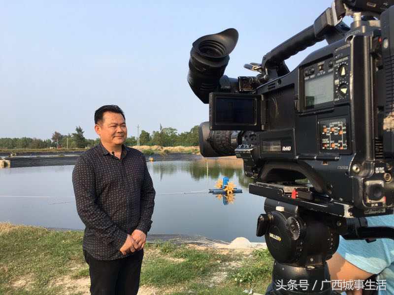 中央电视台致富经栏目怎么样,cctv17中央电视台《致富经》