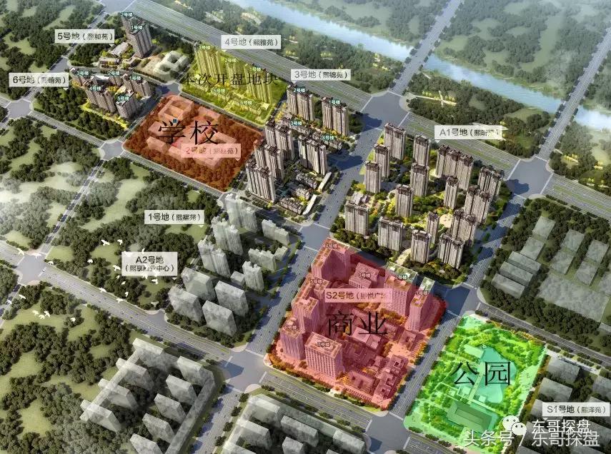 又一神盘诞生，花儿为什么这样红？