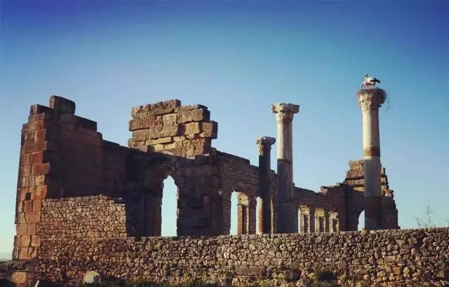 不同于你想象之中的卡萨布兰卡