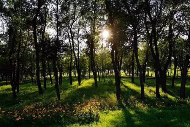 太原高速公路自驾游攻略,从太原自驾游攻略最全最好的线路