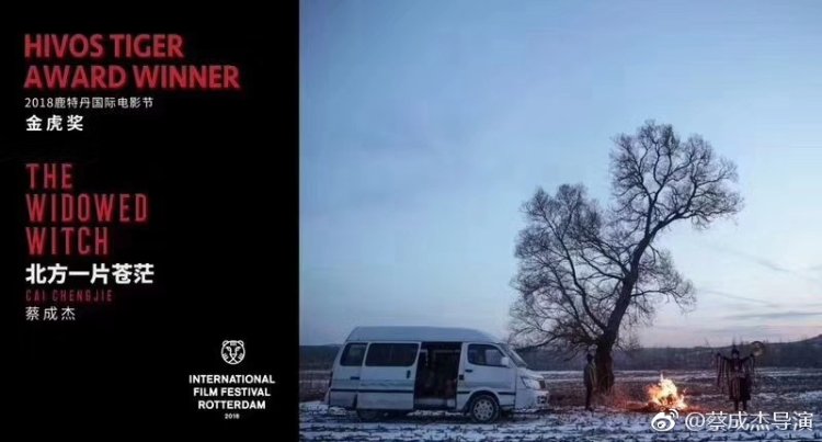 免费看电视连续剧寡妇成仙记,小寡妇成仙记完整版免费观看