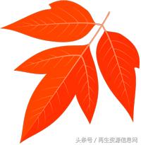 巴塞尔公约专家带您一文了解废荧光灯管的收集、运输、处理及处置