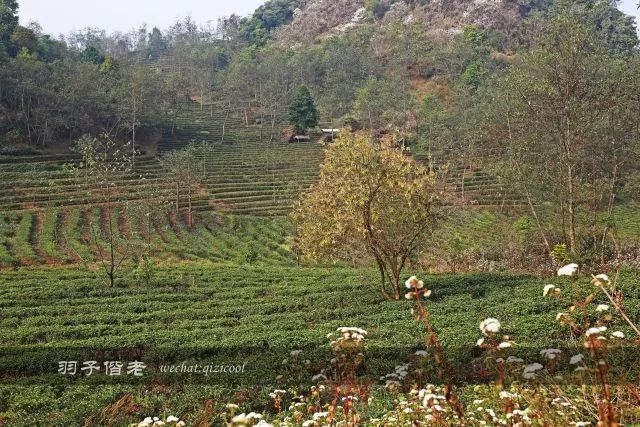 云南沧源靠近哪个国家,云南沧源最好玩的地方