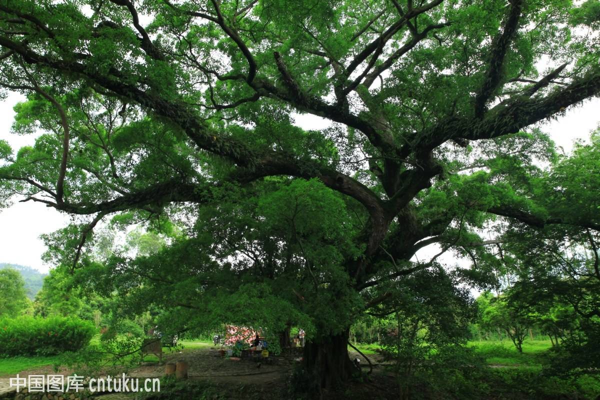 台州黄岩最新消息,台州黄岩第一大镇