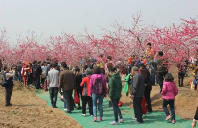 鏄嗗北澶ц穼,鏄嗗北涓嬭穼