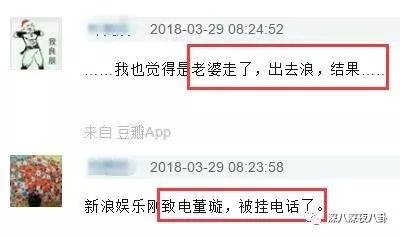 董璇高云翔陈思诚,陈思诚董璇