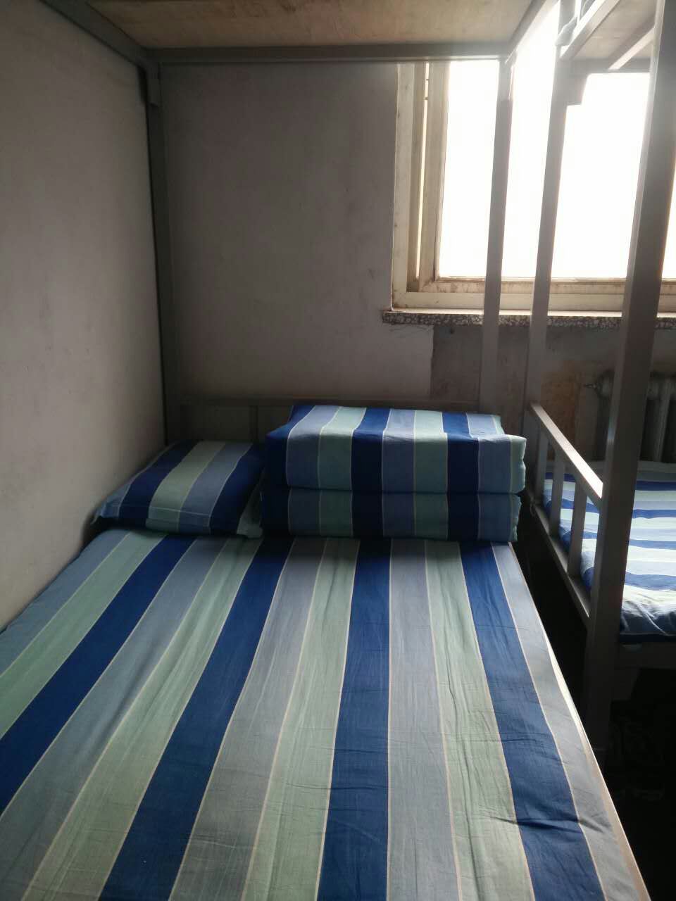 赵县六中招生计划,赵县第六中学现状