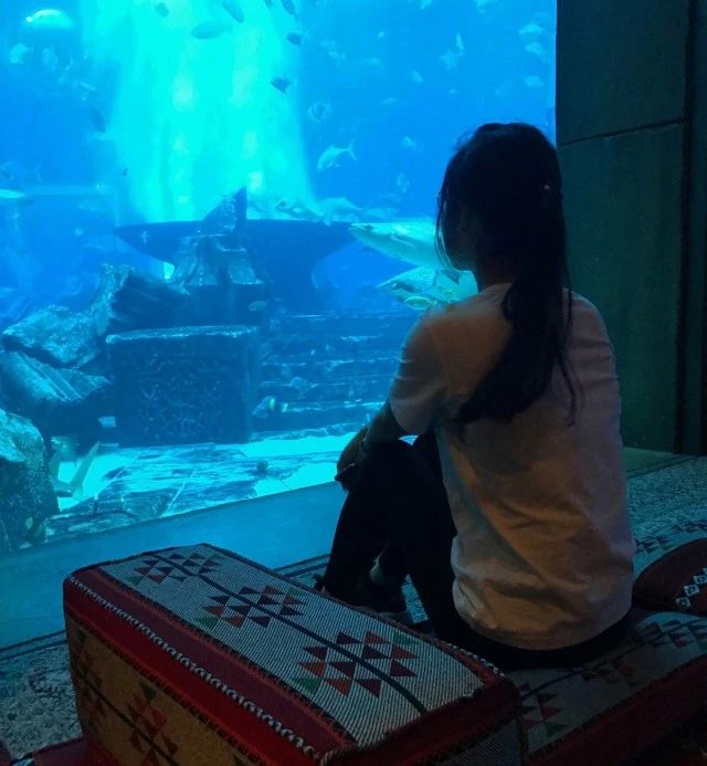 回忆迪拜幸福蜜月之旅,甜蜜的蜜月旅程