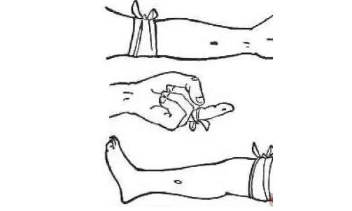 遇到毒蛇怎么办？专业知识还是需要的！