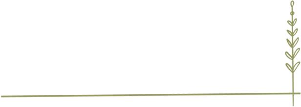 我在「纯K」中见到同一个姑娘，五次