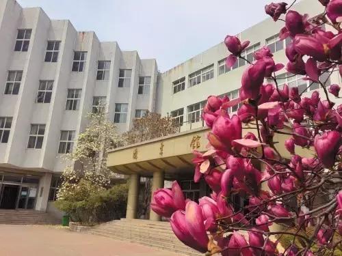 大连高校校花大pk,大连高中校花