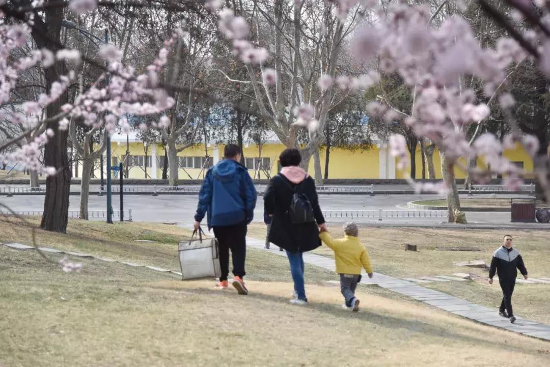 大连高校校花大pk,大连高中校花