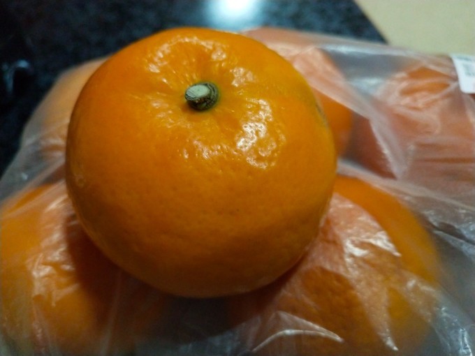 深圳东莞旅游景点推荐,东莞免费景点排名大全集