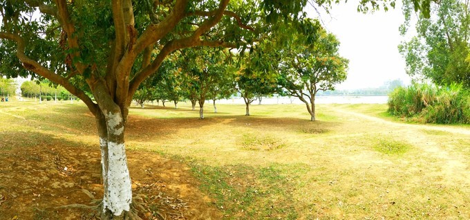 深圳东莞旅游景点推荐,东莞免费景点排名大全集