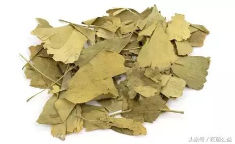 银杏是我国珍稀植物中的活化石吗,银杏的药用价值是什么