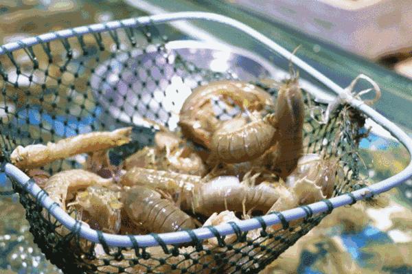 只会被模仿，从未被超越！MUJI这次又被苏宁盯上了！