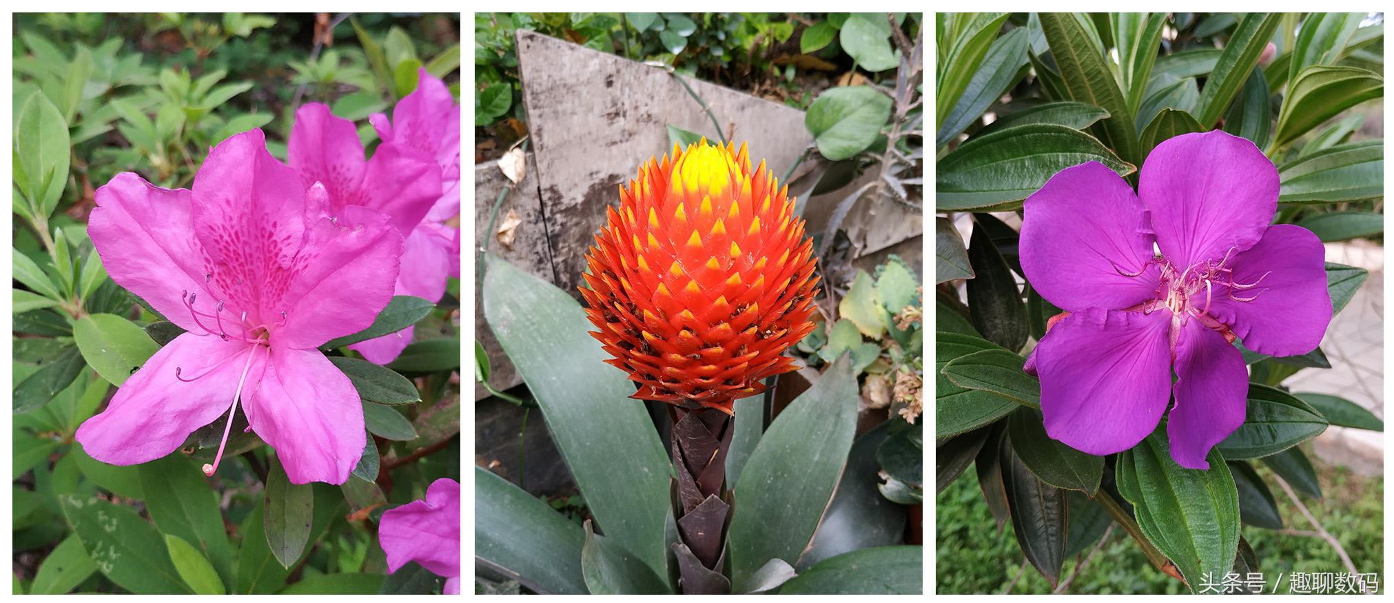 红米note5a测评,骁龙636全球首发红米note5pro