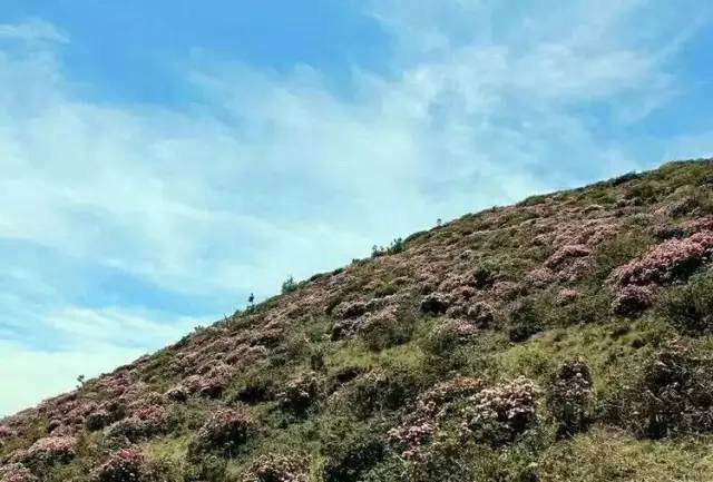 这几年巧家的变化,巧家的生活变化