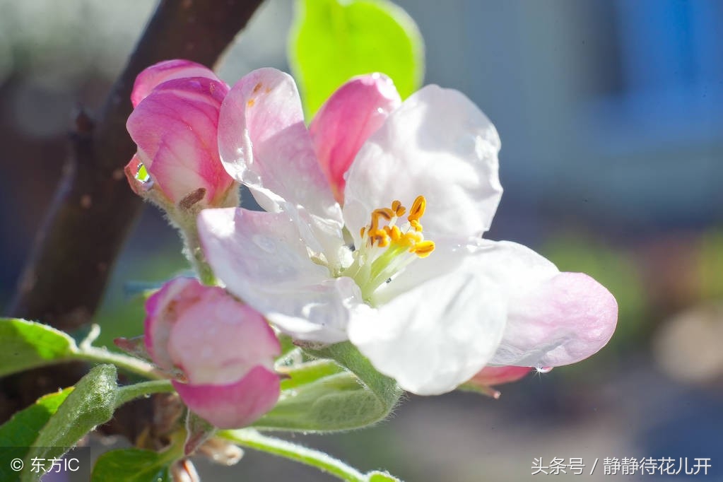 同甘共苦只能同甘不能共苦的图片,同甘共苦只能同甘不能共苦啥意思