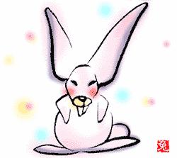 生辰八字与属相婚姻哪个准,属相和命理在婚姻中哪个更重要