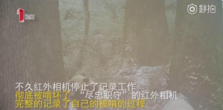 法治新闻全集完整版,严查机构改革中的违法问题