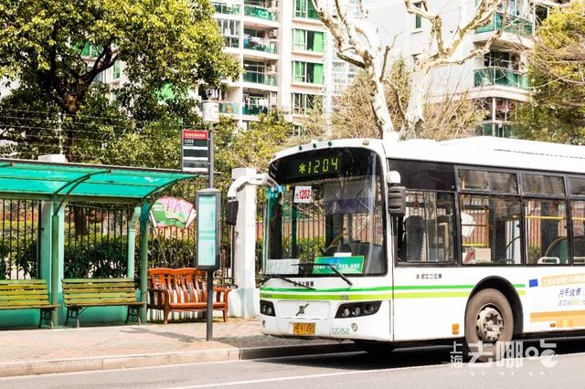 称霸徐汇5年的神级煎饼摊,学生*党**可以免排队!